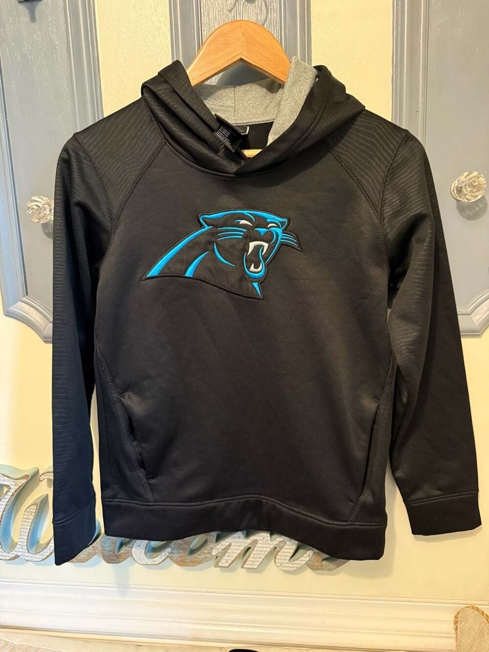 Carolina Panthers NFL Team Apparel Youth Pullover Hoodie Black Medium 10/12